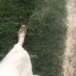 同居女友的日常散图