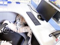 超级巨乳女神【老公不在家】露脸私拍，各种自慰调教啪啪，巨乳肥臀无毛一线天馒头逼，天生极品炮架子