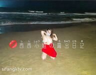 推特極品反差騷母狗露出淫亂狂魔【西西小姐】私拍日記，露出肛交啪啪男女通吃相當炸裂