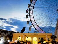 推特極品反差騷母狗露出淫亂狂魔【西西小姐】私拍日記，露出肛交啪啪男女通吃相當炸裂