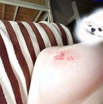 Cô gái trẻ Twitter trẻ trung và bất khả chiến bại [Yu Zi] lộ mặt trong buổi chụp ảnh riêng tư, với bộ ngực to màu hồng và chiếc bánh bao hấp hổ trắng quý hiếm, bầu trời rất dịu dàng và đạo cụ được dùng để thủ dâm đến mức rất cao