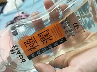 《台湾情侣泄密》漂亮的学妹不雅视频被有心人故意流出