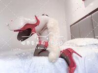 原创反差婊，精盆母狗，推特巨乳肥臀淫妻【姬芭查比莉】订阅私拍，公园超市户外人前露出啪啪呻吟声让人受不了