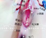 原创反差婊，精盆母狗，推特巨乳肥臀淫妻【姬芭查比莉】订阅私拍，公园超市户外人前露出啪啪呻吟声让人受不了