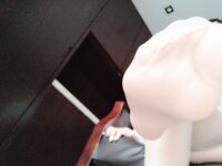 日奈娇- NO.055 私人秘书自拍