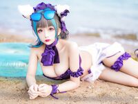 日奈娇- NO.023 柴郡 