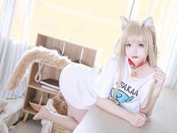 日奈娇- NO.063 黄豆粉 