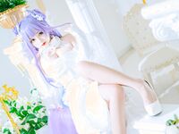 日奈娇- NO.033 独角兽兵装 