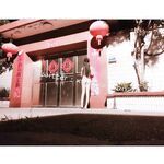 Lần rò rỉ mới nhất vào tháng 11, nữ sinh mảnh khảnh [Xiao Yun Fairy] của Huang Chameng có thể khỏa thân, có thể điều chỉnh và có thể tùy chỉnh trên Twitter Ảnh riêng tư, nhiều hình ảnh phơi sáng khác nhau trong nhà vệ sinh nam trên đường chính và liếm bồn