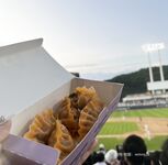 有颜有胸的美女青春期性瘾重，每天按摩乳房，自慰插逼逼，日常小福利记录