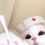 推特极品美少女呆呆酱(keaimiao666) 视图合集