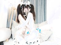 布丁大法 奶牛百合