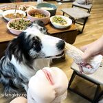 최고 여신! 웨이보 15만 팬, 머리 9개 달린 캐리커처 피규어, 절정의 모습 [티에터우 자매] 개인 사진 및 혜택, 앞뒤가 부풀어 오른 무적의 피규어