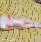 美女如云，车模外围三线全是高质量名媛，推特金主大神【北王】私拍，操控玩肏各种露脸女神，人生赢家