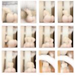 左公子666-微密圈系列图片-第二部分