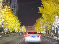 Zuo Gongzi 666-마이크로원 시리즈 사진-7부