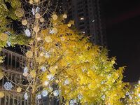 Zuo Gongzi 666-마이크로원 시리즈 사진-7부