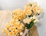 Zuo Gongzi 666-마이크로원 시리즈 사진-7부