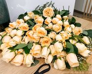 Zuo Gongzi 666-마이크로원 시리즈 사진-7부