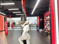 Zuo Gongzi 666-마이크로원 시리즈 사진-7부