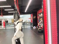 Zuo Gongzi 666-마이크로원 시리즈 사진-7부