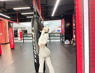 Zuo Gongzi 666-마이크로원 시리즈 사진-7부