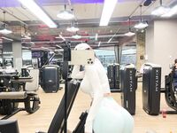 Zuo Gongzi 666-마이크로원 시리즈 사진-7부