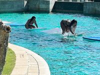 Zuo Gongzi 666-마이크로원 시리즈 사진-7부