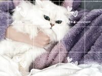 탑 로리타 [진저 투투] 최고의 찐빵, 다양한 위치에서 섹스와 입으로, 큰 가슴, 긴 다리, 날씬하고 통통한 몸매, 다양한 상사에게 엿먹이고 영상까지 촬영 한 그녀는 매우 요염하고 뻔뻔합니다.