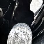 12月最新流出，推特顶级SS级巨乳性感女神【小鲅鱼】私人定制，道具紫薇、户外露出、各种挑逗裸舞，炸裂