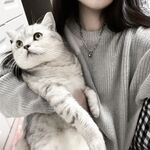 12月最新流出，推特顶级SS级巨乳性感女神【小鲅鱼】私人定制，道具紫薇、户外露出、各种挑逗裸舞，炸裂