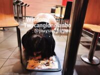 Vào cuối năm, một dòng tweet gây sốc xuất hiện trên Twitter. Nữ thần khuôn mặt cao và ngực khủng tương phản [Wine Moon], được chủ nhân đào tạo để quay phim riêng.