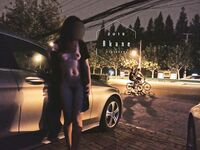 2024震撼流出，推特綠帽NTR淫妻刷鍋第一人【AKane小獅子】訂閱私拍，戶外露出、約單男3P、怎麼刺激怎麼玩