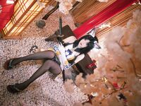 Xueqing Astra - NO.31 วอลนัทสีดำนิรันดร์