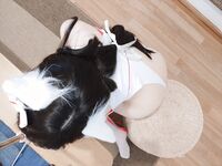 雪晴 Astra - NO.09 神社猫