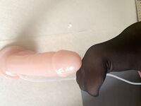 年度重磅稀缺首发推特极品反差女神【苏小柠】2023全年原版精品