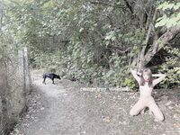 [The best loli training] The best lolita trains the slutty little bitch "Fang Xueer" with all kinds of large-scale SM, forcing her to reveal obscene words, drink urine, and violent penetration