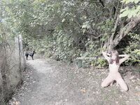 [The best loli training] The best lolita trains the slutty little bitch "Fang Xueer" with all kinds of large-scale SM, forcing her to reveal obscene words, drink urine, and violent penetration