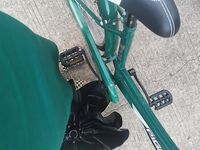 리얼 대비 대학생! 인터넷 최초의 금화를 획득한 미대 아가씨[초인덕션 밥솥의 신의 리더]는 기숙사 커튼을 닫고 각종 음란셀카를 찍으며 자위를 하고, 음모를 밀고, 그녀의 아름다운 가슴을 과시하고, 오빠의 자지를 먹고, 그에게 박히는 것