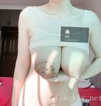 狸奴 (銜蝶) 視圖