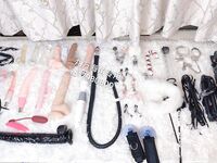 大神高价自购海角万人追踪反差婊【胡九万（原小芳姐姐）】最全合集，性奴调教啪啪各种花样