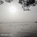 2024年2月，超级反差母狗【六花】大年初一拜年，美背滴蜡写龙年大吉，高价付费福利