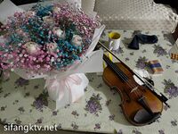 2024年2月，超级反差母狗【六花】大年初一拜年，美背滴蜡写龙年大吉，高价付费福利