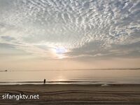 长很像阿朱的超高颜值广州TS【桃子吖】与金主女闺蜜啪啪合集