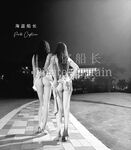 重磅佳作！人生贏家推特富豪大神【海盜船長】私拍【第三彈】，重金全包多位九頭身極品外圍女神淫亂大轟趴