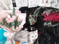 Twitter萝莉〖小埋长不高〗可爱私拍，奶油肌肤挺乳粉穴在外是老师同学眼中的乖乖女在家是小母狗