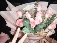 Twitter萝莉〖小埋长不高〗可爱私拍，奶油肌肤挺乳粉穴在外是老师同学眼中的乖乖女在家是小母狗