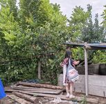 Twitter萝莉〖小埋长不高〗可爱私拍，奶油肌肤挺乳粉穴在外是老师同学眼中的乖乖女在家是小母狗