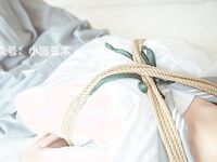 คอลเลกชันผลงานการหายใจไม่ออกของ DOM