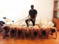 คอลเลกชันผลงานการหายใจไม่ออกของ DOM